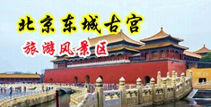刘涛的小穴被大鸡巴插的流血的视频中国北京-东城古宫旅游风景区